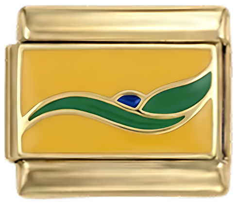 شعار برازيلي