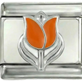 Hollantilainen tulppaani