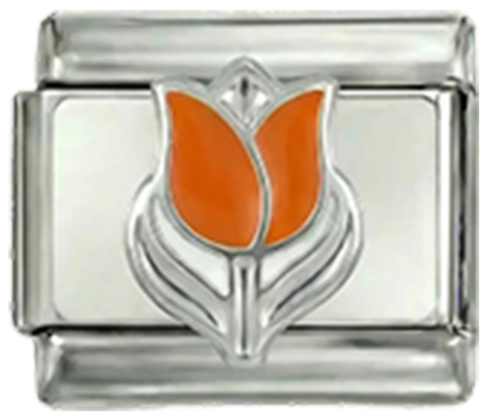 Hollantilainen tulppaani
