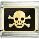 يُضاف لاحقًا - جمجمة وعظمتان متقاطعتان على الفضة