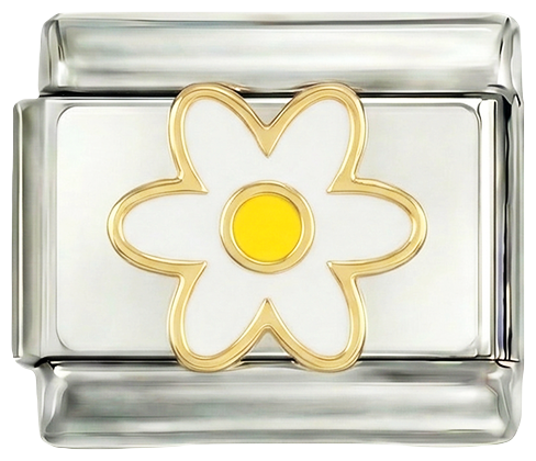 Lisätään - Valkoinen päivänkakkara ja sen keltainen sydän