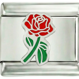 وردة حمراء كاملة مع ساقها الأخضر